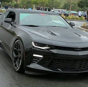 Meet your Posher, Armando